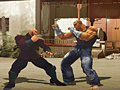 Jeu The Perfect Fighter