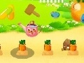 Jeu Field of Carrots
