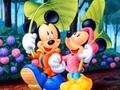 Jeu Mickey Love-HS