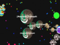 Jeu Gota. io 