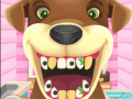 Jeu Animal Dentist 