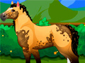 Jeu Pony Dress Up