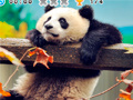 Jeu Animal Habitats: Find Items