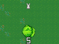 Jeu Cabbage Run