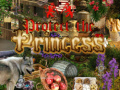 Jeu Protect the Princess