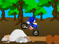 Jeu Cross Sonic Race 