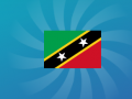 Jeu Guess The Flag