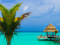 Jeu Tropical Paradise