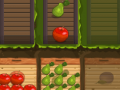 Jeu Fruit Gardener