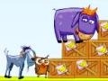Jeu Donkey Sean