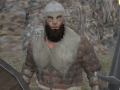 Jeu Vikings Aggression