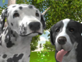 Jeu Dog Simulator 3d