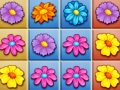 Jeu Blossom Garden Crush