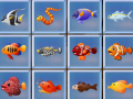 Jeu Find The Fish