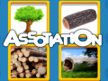 Jeu Assotiation 
