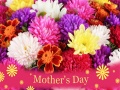Jeu 2019 Mother's Day Puzzle