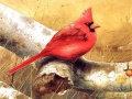 Jeu Art Birds Puzzle