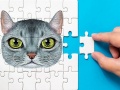 Jeu Abyssinian Puzzle Challenge