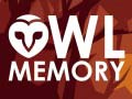 Jeu Owl Memory