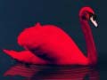 Jeu Love Birds Puzzle