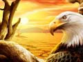 Jeu Eagle