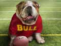 Jeu Funny Doggy