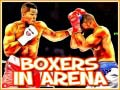 Jeu Boxers in Arena