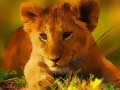 Jeu Wild Baby Animals Jigsaw