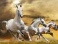 Jeu Running Horse Slide
