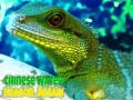 Jeu Chinese Water Dragon Jigsaw