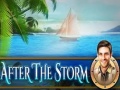 Jeu After the Storm