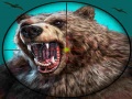 Jeu Wild Bear Hunting