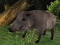 Jeu Wild boar Hunting