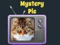 Jeu Mystery Pic