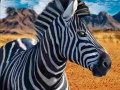 Jeu Zebra Hunter