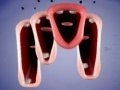 Jeu Crazy Lips