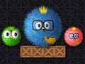 Jeu Where Is My Ruffled Bird