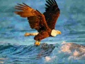 Jeu Animals Jigsaw Puzzle Eagle