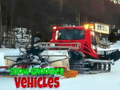 Jeu Snow Groomer Vehicles