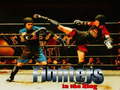 Jeu Fighters in the Ring