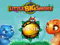Jeu Little Big Snake