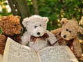 Jeu Cuddly Three Teddy Jigsaw