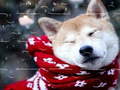 Jeu Winter Pets Puzzle