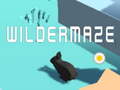 Jeu Wildermaze