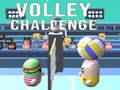 Jeu Volley Challenge