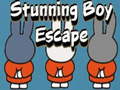Jeu Stunning Boy Escape