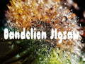 Jeu Dandelion Jigsaw