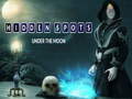 Jeu Hidden Spots Under the Moon