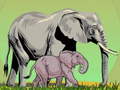 Jeu Wild Animals and Their Babies