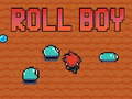 Jeu Roll Boy